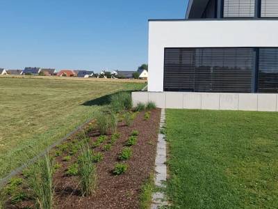 garten2.jpg